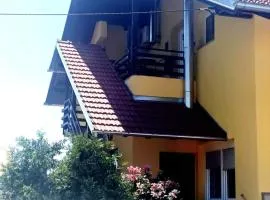 Apartment Petra Zabok A2-3km
