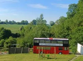 insolite bus anglais le Buckinghambus