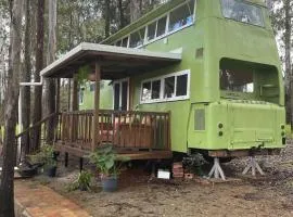 Tree Top Bus Stop