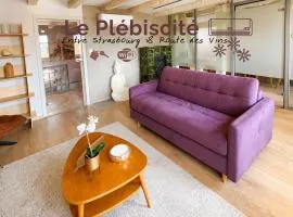 Le Plébiscité Maison Premium sur la Route des Vins d'Alsace