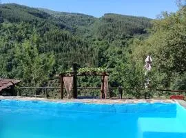 Refúgio com Tanque Privado e Azeite Artesanal