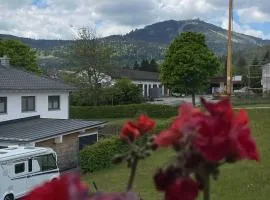Apartman Pepa