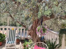 Casa vacanze l'Ulivo