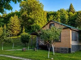 Bani Cottage Racha