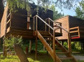 Skadar Lake Life