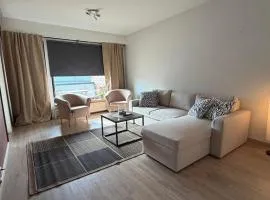 Modern & Spacious Apartment Near City Center