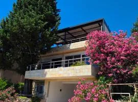 Villa Tesoro