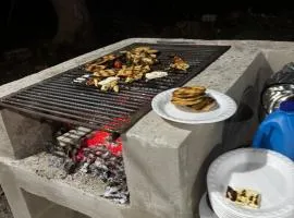 Las palmas