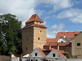 Apartmán Železná panna