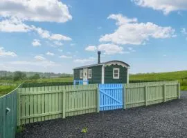Spring Meadow Shepherds Hut