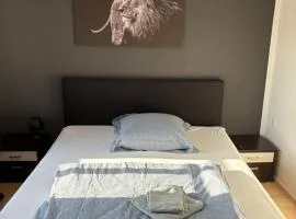 Fluss-Bett