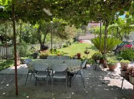 Green Atelier Garden near Kotor