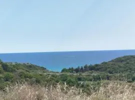 Aelia Horizon