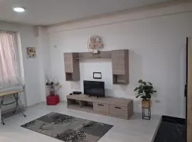 Apartment In Militari Bucharest 1