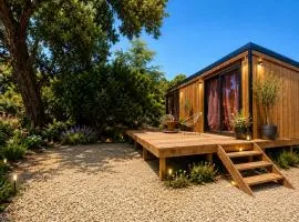 la douceur du sud jardin terrasse