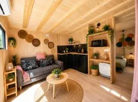 la douceur du sud jardin terrasse
