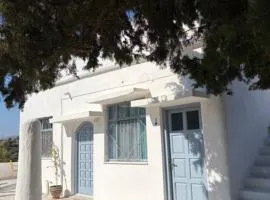White Cat