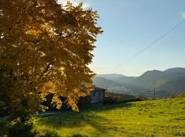 Dimora Gubbiano