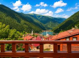 Şimo Suite Otel, hotel v destinaci Uzungöl