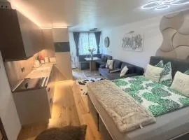 Emerald Alpine Apartment Seefeld