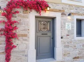cozystudio Chezmoi