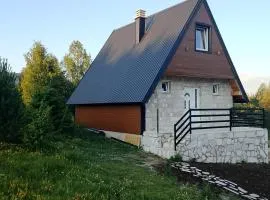 House Vasilije