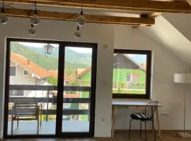 Dana apartment with Garden near Tara National Park
