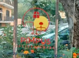 Pimpus