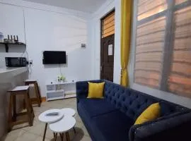 holm's home studio