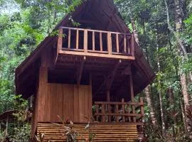 Entire Jungle Chalet Playa Ganadito