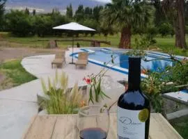 Don Dalmiro Wines