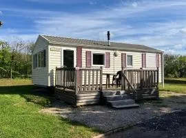 Mobil home avec terrasse - 4 pers. - API-1-52-2689