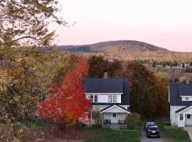 Downtown Antigonish- Entire 4 BR House & Garden