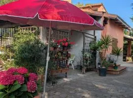 Casa dei girasoli