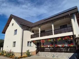 Piatra Humorului