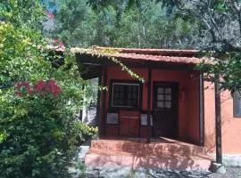 Finca Nim 2