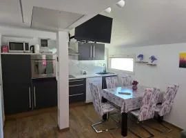 Spa Cottage Lavender in Terme Čatež