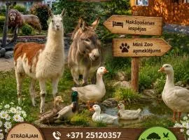 Atpūtas vieta- Mini ZOO BUKI