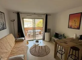 Studio with balcony, pool and clim close to Cannes