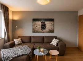 Maxi-Apartment Bodanum - mit eigener Terrasse - naturnahe Ortsrandlage - VDSL - 10 min zum Nürburgring