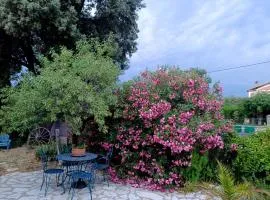Studio 40 m 2 près St Guilhem le désert et rivière