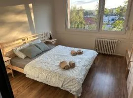 Apartmán Volary