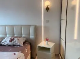 Downtown One-Bedroom Deluxe Apartment