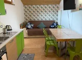 Casa Seler - Appartamento verde