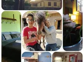 Póni Kuckó Vendégház és Minifarm