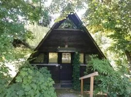Ferienhaus Bergwiese
