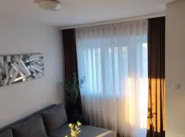 Apartman Škribulja