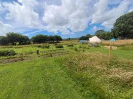 Maisie's Campsite