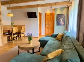Design Apartment im Chalet Stil für bis zu 6 Gäste