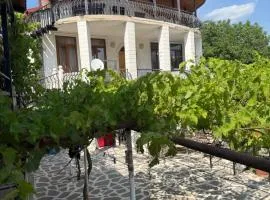 Home in Mtskheta